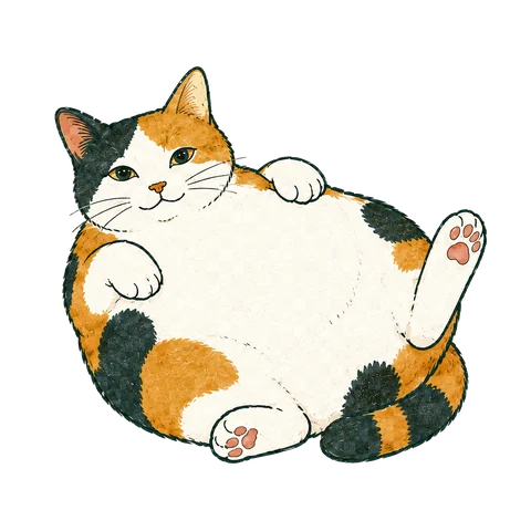 1段階目のデブ猫