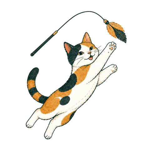 4段階目のアスリート猫